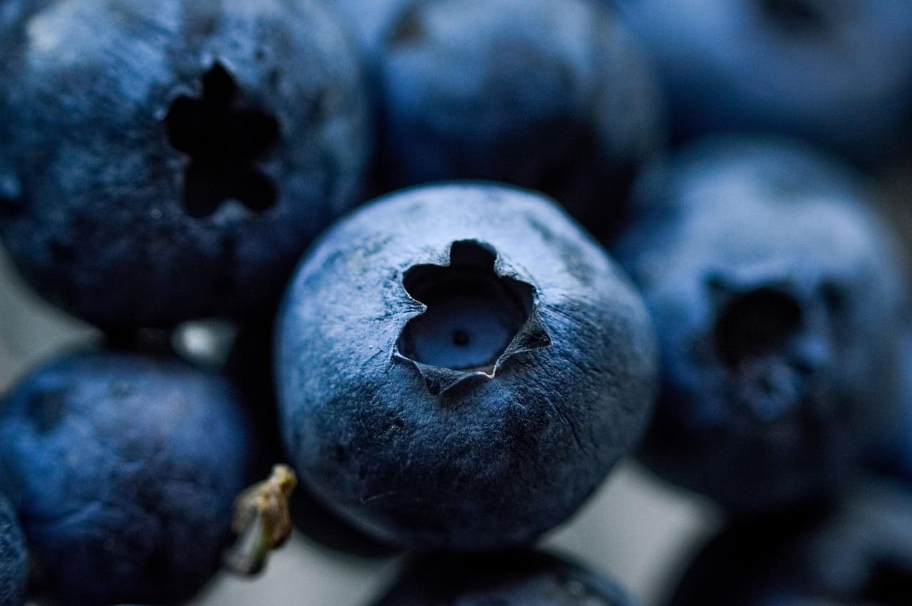 Blaubeeren.jpg