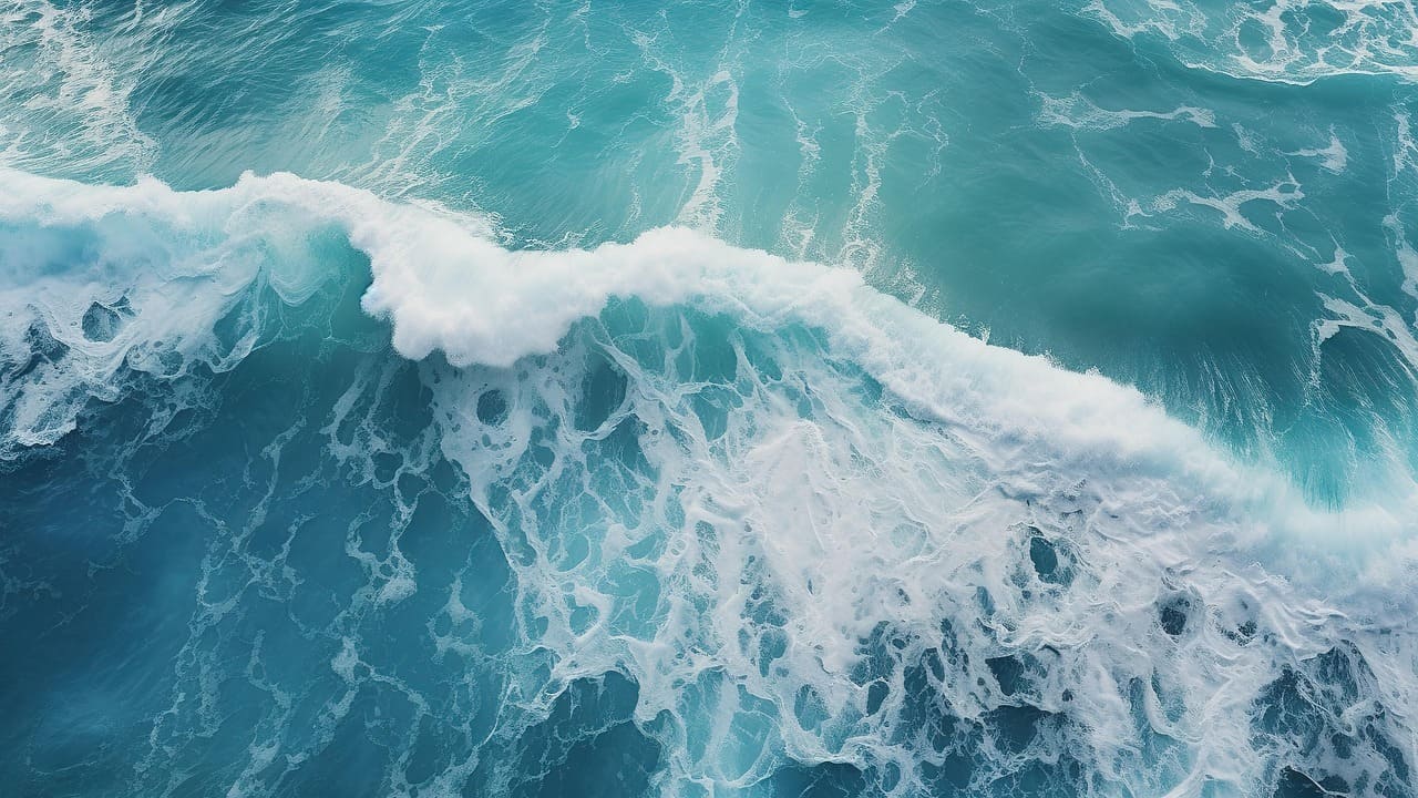 ocean-8182103_1280.jpg